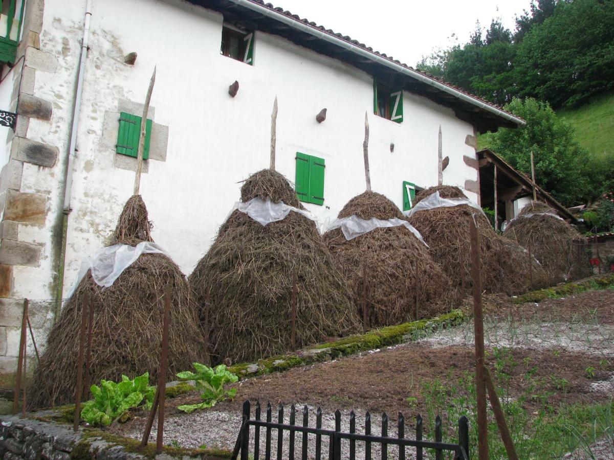 Albergue Olasenea Aterpea Zubieta المظهر الخارجي الصورة